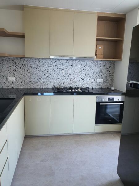 Kitchen Pic 3 - Hood, Hob, Oven & Fridge