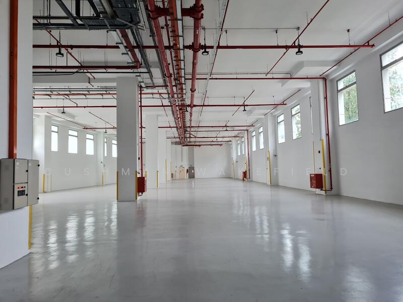 15 Changi Business Park Central 1, , 8,000 sqft, Business / Science Park For Rent, by LU WEIJIE, DARREN, 23433826 - CommercialGuru.com.sg