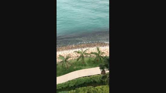Seascape @ Sentosa Cove, 57 Cove Way, Harbourfront / Telok Blangah, 4 Bedrooms, 4,069 sqft, Apartment For Sale, by Michele Cabasug, 23437651 - PropertyGuru.com.sg