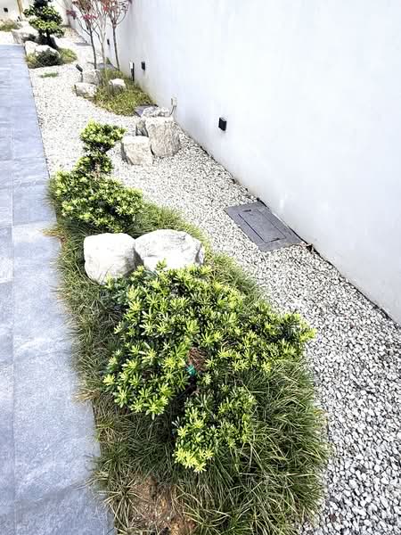 Cosy Home Move-In Cond. $22xxpsf Neg. Corner Terrace For Sale at S$ 7,499,000 | PropertyGuru Singapore