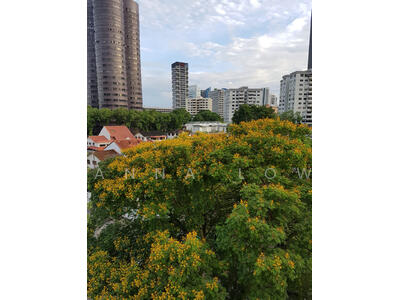 For Sale - One Tree Hill Mansions