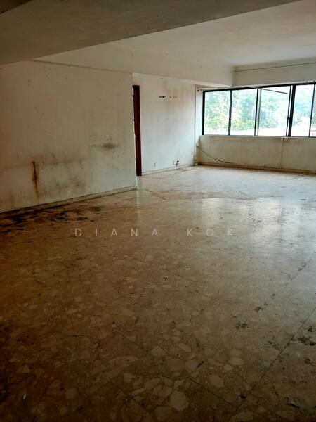Association type, geylang, 14,000 sqft, Land with Building / En-bloc For Sale, by Diana Kok, 23465140 - CommercialGuru.com.sg
