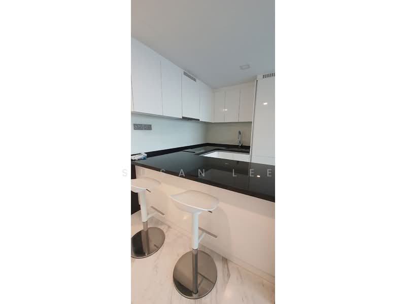 Wallich Residence, 3 Wallich Street, 1 Bedroom, 646 sqft, Condominium For Rent, by Susan Lee, 23474739 - Kitchen  - PropertyGuru.com.sg