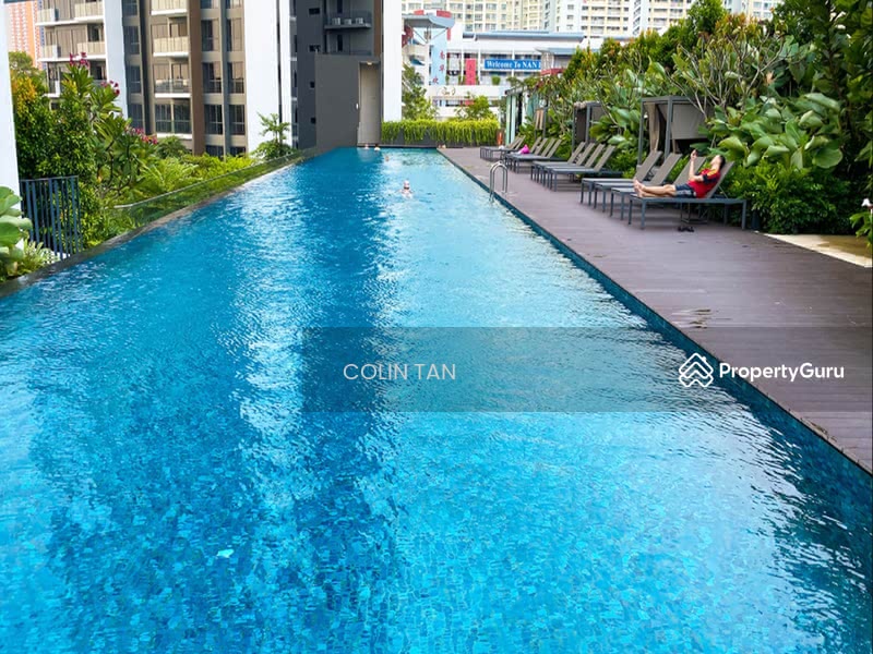 The Clement Canopy - Sun Tanning Deck and Pool