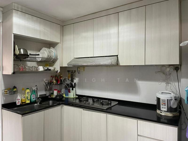 10 Selegie Road, 10 Selegie Road, Beach Road / Bugis / Rochor, 3 Bedrooms, 602 sqft, HDB Flat For Rent, by Kayleigh Tan, 23492042 - Renovated Kutchen - PropertyGuru.com.sg