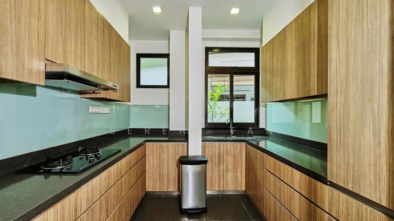 Mount Rosie Terrace, Goldhill Ave, 5 Bedrooms, 4,500 sqft, Corner Terrace For Rent, by Serene Tan, 23500537 - PropertyGuru.com.sg