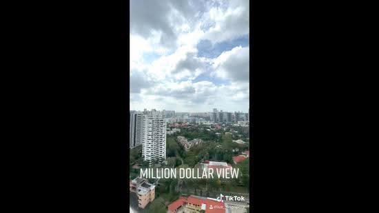 Parkview Eclat, 138 Grange Road, Tanglin / Holland / Bukit Timah, 7 Bedrooms, 10,216 sqft, Condominium For Sale, by Richard Lin Z K, 23510131 - PropertyGuru.com.sg
