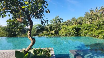 For Sale - NASSIM AREA UNSURPASSED! BRAND NEW ULTRA LUX GCB⭐️2 HUGE BASEMENTS/ PARK 20(顶级优质洋房) ☎️ PAM 90228600!