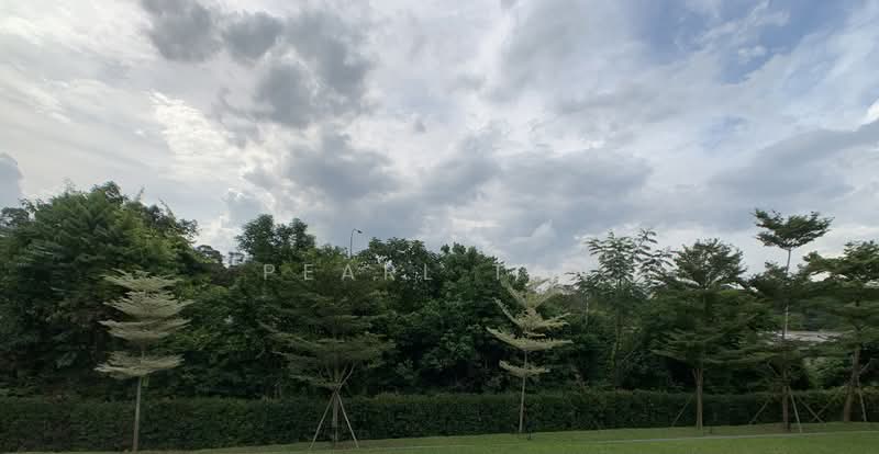 ⭐️GCB /LOW PSF$ SUBDIVISIBLE PLOT FOR THE SICC AND NATURE LOVER 顶级优质洋房☎️91890081, Newton / Novena, 3 Bedrooms, 10,000 sqft, Good Class Bungalow For Sale, by Pearl Tan, 23533828 - PropertyGuru.com.sg
