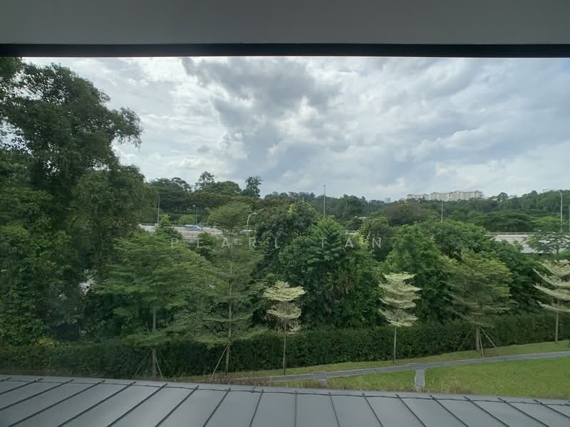 ⭐️GCB /LOW PSF$ SUBDIVISIBLE PLOT FOR THE SICC AND NATURE LOVER 顶级优质洋房☎️91890081, Newton / Novena, 3 Bedrooms, 10,000 sqft, Good Class Bungalow For Sale, by Pearl Tan, 23533828 - PropertyGuru.com.sg
