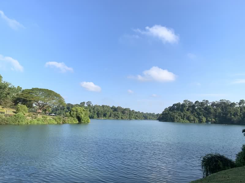 ⭐️GCB /LOW PSF$ SUBDIVISIBLE PLOT FOR THE SICC AND NATURE LOVER 顶级优质洋房☎️91890081, Newton / Novena, 3 Bedrooms, 10,000 sqft, Good Class Bungalow For Sale, by Pearl Tan, 23533828 - PropertyGuru.com.sg