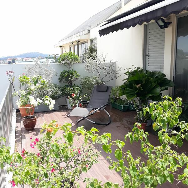 roof terrace on upper level, outside master bedroom (plants not included)