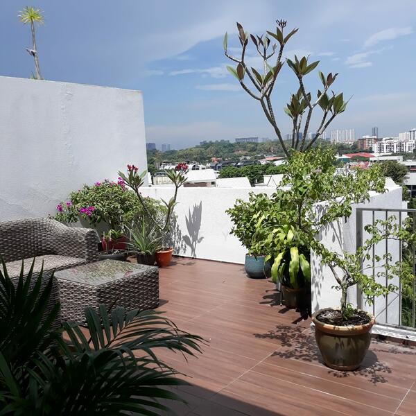 roof terrace on upper level (plants not included)