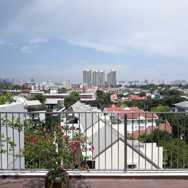 view from roof terrace