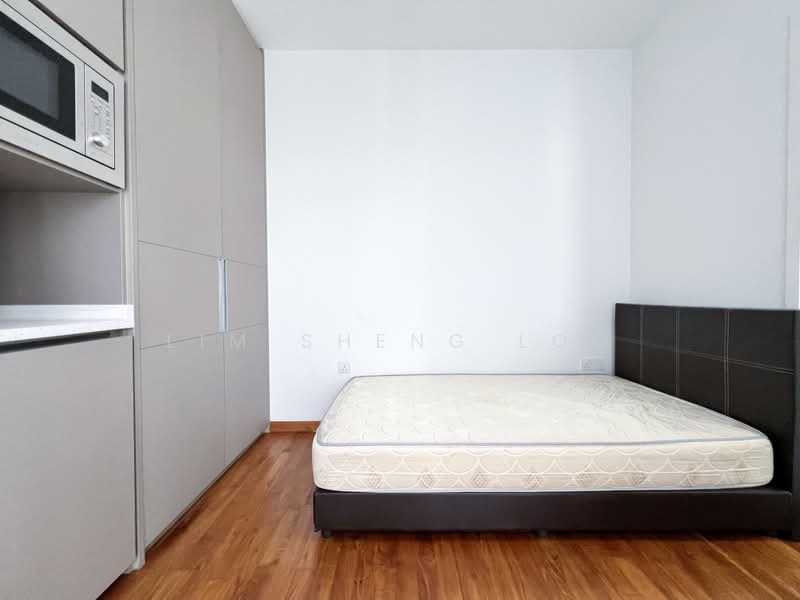 Sophia Hills, 23 Mount Sophia, Studio, 250 sqft, Condominium For Rent, by Lim Sheng Loo, 23562920 - PropertyGuru.com.sg
