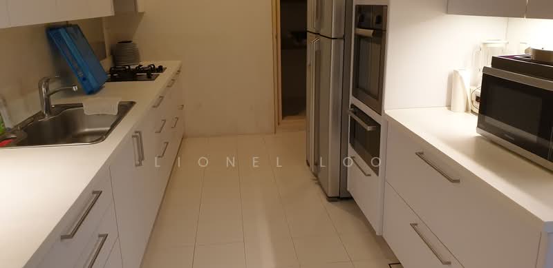 Rosevale, 32 Lincoln Road, Newton / Novena, 3 Bedrooms, 1,389 sqft, Apartment For Rent, by Lionel Loo PN, 23573756 - PropertyGuru.com.sg