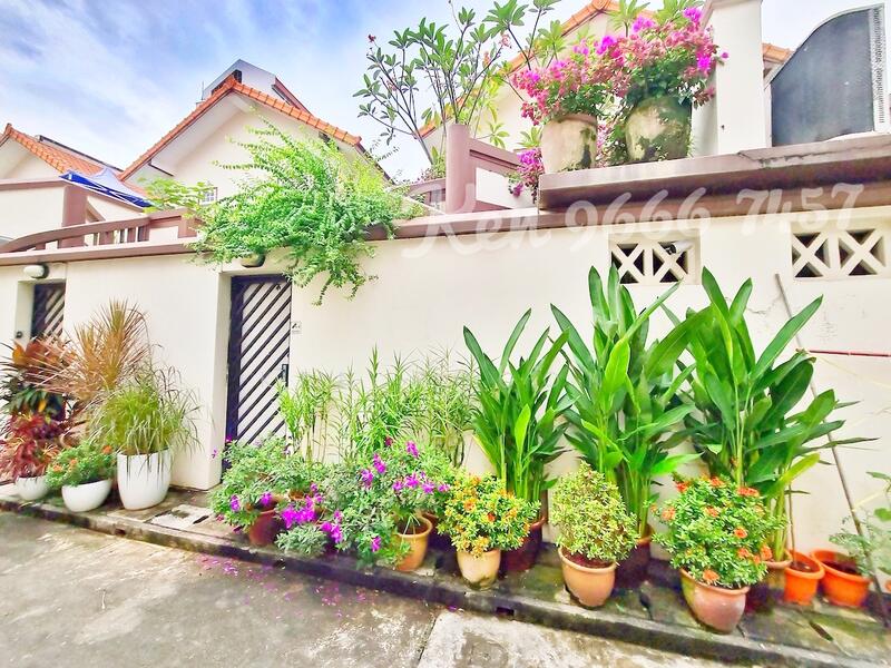 LOVELY TROPICAL HOME - FEEL IT LOVE IT, McNair Road, May Road, Boon Keng MRT, Novena MRT, 3 Bedrooms, 2,424 sqft, Conservation House For Rent, by Ken Phoon, 23582713 - PropertyGuru.com.sg