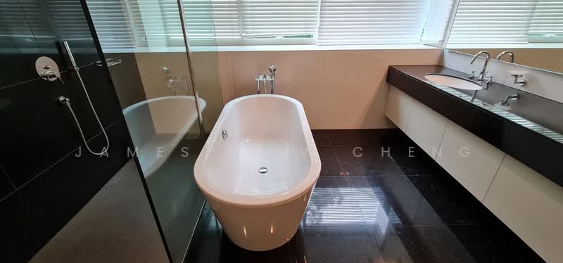 Grange Residences, 93 Grange Road, 4 Bedrooms, 2,487 sqft, Condominium For Rent, by James Siaw Cheng Yee, 23584388 - PropertyGuru.com.sg