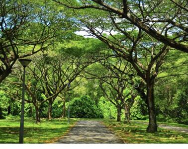 For Rent - 194 Pasir Ris Street 12