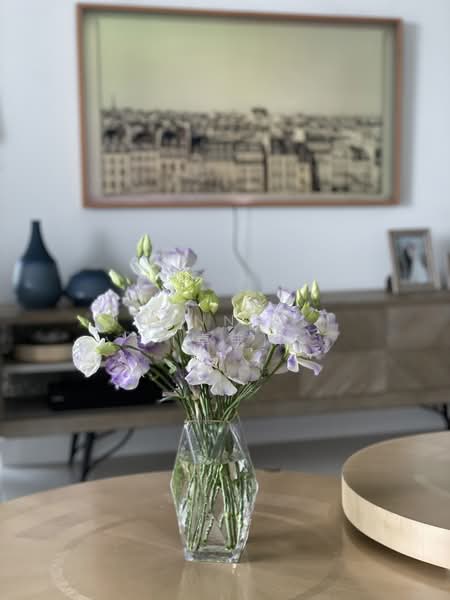 d'Leedon (Former Farrer Court), 1 Leedon Heights, 4 Bedrooms, 2,228 sqft, Condominium For Rent, by Joanne Li, 23588815 - PropertyGuru.com.sg