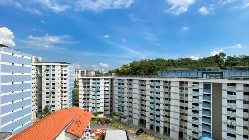 316 Bukit Batok Street 32, 316 Bukit Batok Street 32, Dairy Farm / Bukit Panjang / Choa Chu Kang, 2 Bedrooms, 1,000 sqft, HDB Flat For Rent, by Alfred Tan, 23602383 - View from the house - PropertyGuru.com.sg