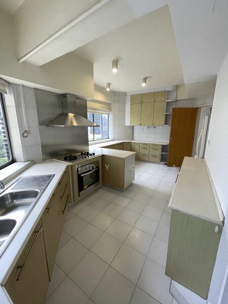 High Point, 30 Mount Elizabeth, 3 Bedrooms, 2,927 sqft, Apartment For Rent, by Wendy Chia, 23615292 - PropertyGuru.com.sg