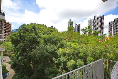 For Sale - Pollen & Bleu