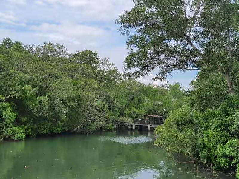 Eastvale, 33 Pasir Ris Drive 3, Pasir Ris / Tampines, 3 Bedrooms, 1,281 sqft, Condominium For Sale, by Kris Qiu (邱志琴), 23623305 - PropertyGuru.com.sg