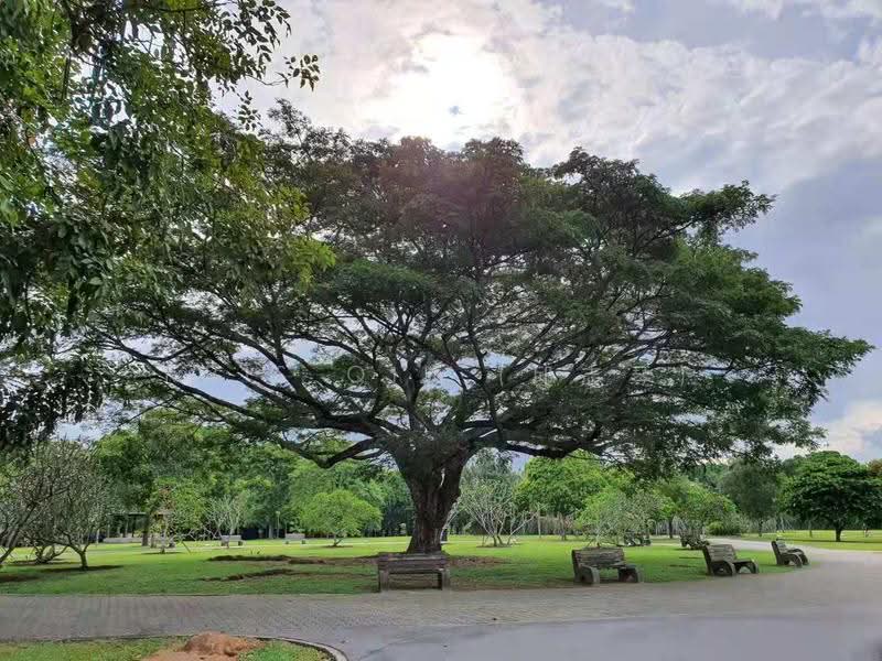 Eastvale, 33 Pasir Ris Drive 3, Pasir Ris / Tampines, 3 Bedrooms, 1,281 sqft, Condominium For Sale, by Kris Qiu (邱志琴), 23623305 - PropertyGuru.com.sg