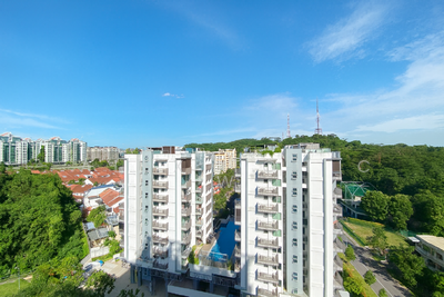 For Sale - Laurel Tree