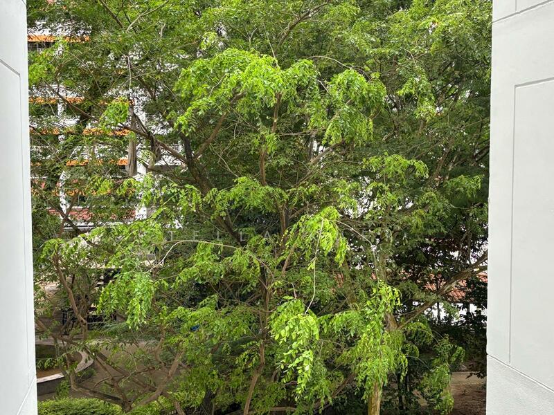 9 Holland Avenue, 9 Holland Avenue, Room Rental, 270 sqft, HDB Flat For Rent, by Stella Kuek, 23635905 - Greenery View - PropertyGuru.com.sg