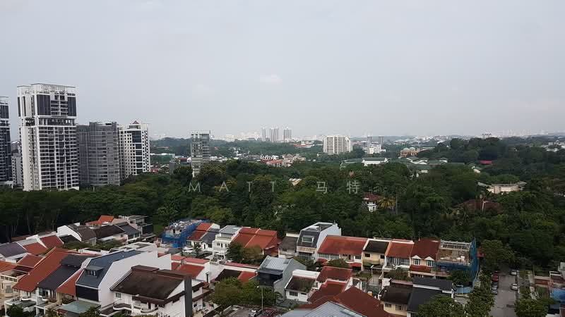 ★稀有大平层 (540方米)★ Single Level of 540sqm ★顶级公寓★ 豪中豪 ★永久产权★, Bukit Timah, Balmoral, Keng Chin, Stevens, 4 Bedrooms, 5,802 sqft, Condominium For Sale, by MATT 马特, 23644550 - PropertyGuru.com.sg