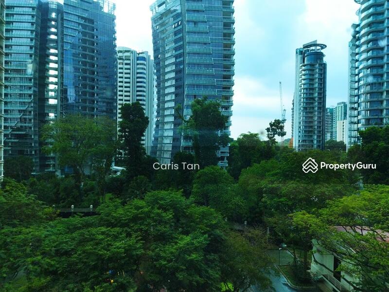 Greenery view from unit