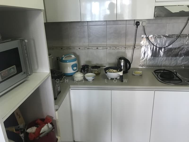 Monarchy Apartments, 51 Mandalay Road, 3 Bedrooms, 1,303 sqft, Apartment For Rent, by Chris Low, 23672241 - PropertyGuru.com.sg