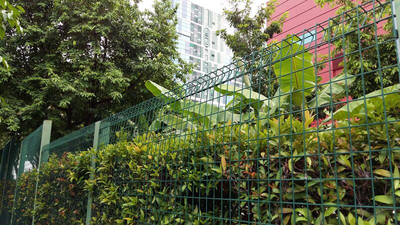 For Rent - Botannia