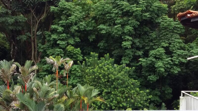 For Rent - Botannia