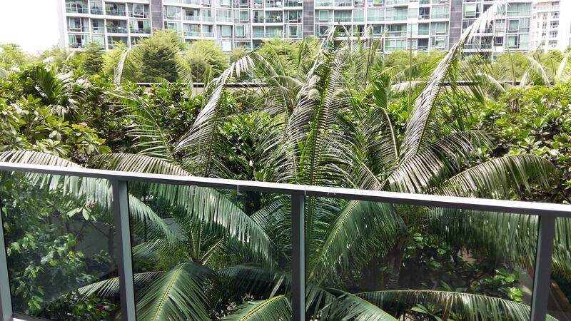 For Rent - Botannia