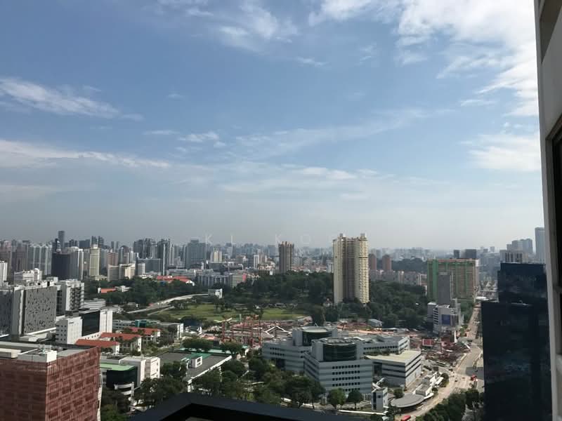 Spottiswoode Residences, 48 Spottiswoode Park Road, 1 Bedroom, 592 sqft, Condominium For Rent, by KL Koo, 23684709 - City View from Balcony - PropertyGuru.com.sg