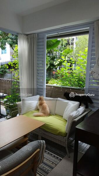 No noon sun so kitties love hanging out here