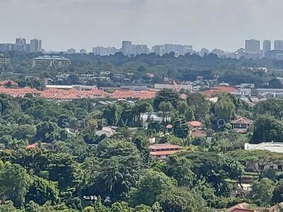 For Sale - Belmont Leedon Bin Tong Park Vicinity