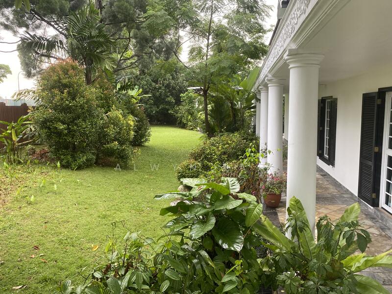Large Garden