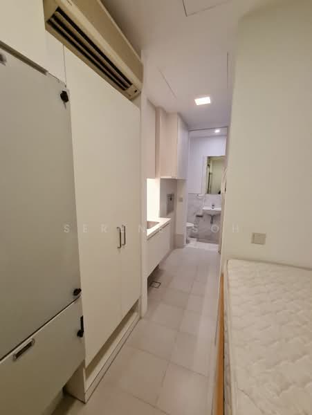 8 Nassim Hill, 8 Nassim Hill, 4 Bedrooms, 3,218 sqft, Apartment For Sale, by Serene Soh, 23727111 - PropertyGuru.com.sg