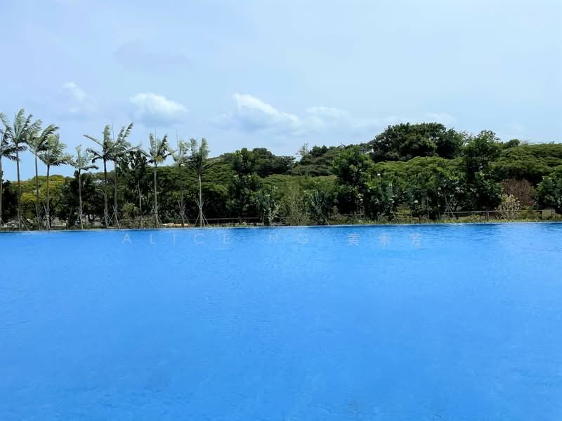 Seaside Residences, 10 Siglap Link, 1 Bedroom, 420 sqft, Apartment For Rent, by Alice Ng 黄素芳, 23734835 - Feeling of being in tropical resort island - PropertyGuru.com.sg