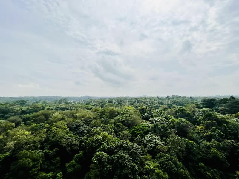 Foresque Residences, 107 Petir Road, 4 Bedrooms, 1,421 sqft, Condominium For Rent, by Liao Huimin, 23756117 - PropertyGuru.com.sg