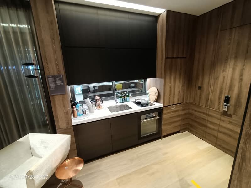 10 Evelyn, 10 Evelyn Road, Newton / Bt. Timah (D11, 21), Newton / Novena, 2 Bedrooms, 732 sqft, Condominium For Sale, by Jinson Ong, 23759958 - warm entrance with well equipped kitchen - PropertyGuru.com.sg
