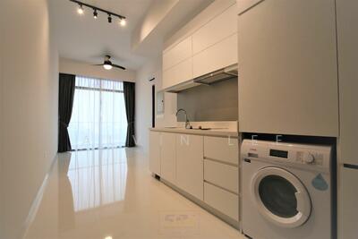 For Sale - Neem Tree