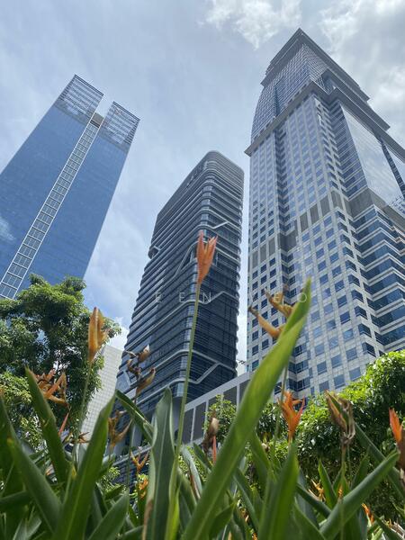 SBF Center, 160 Robinson Road, 947 sqft, Office For Rent, by Aileen Yeo, 23791290 - CommercialGuru.com.sg