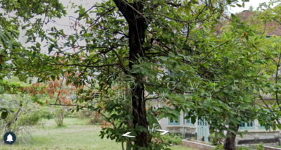 For Sale - Mountbatten Rebuild a C Shape Grand Detached around a Charming Conservation Call David 81394988 Now!