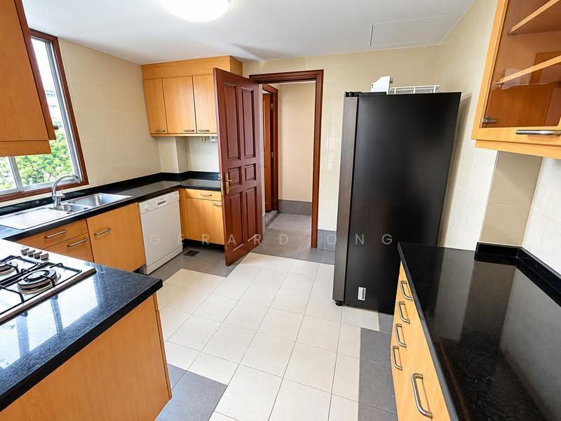 Hullet Rise, 6 Hullet Road, Orchard / River Valley, 3 Bedrooms, 1,147 sqft, Condominium For Rent, by Gerard Ong, 23794529 - Kitchen - PropertyGuru.com.sg