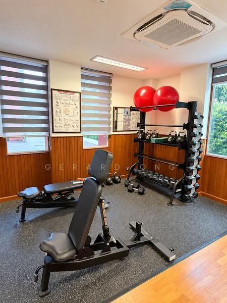 Hullet Rise, 6 Hullet Road, Orchard / River Valley, 3 Bedrooms, 1,147 sqft, Condominium For Rent, by Gerard Ong, 23794529 - Gym - PropertyGuru.com.sg